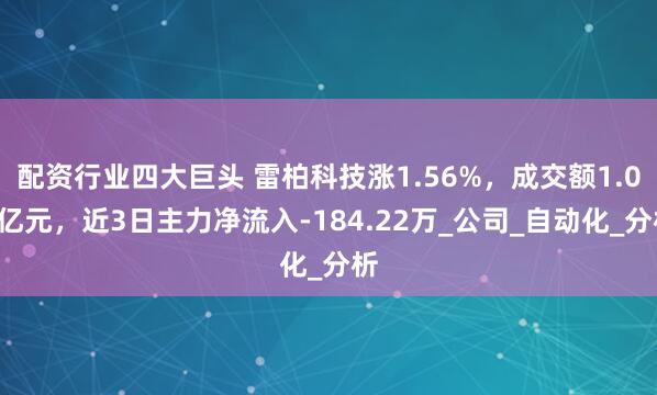 配资行业四大巨头 雷柏科技涨1.56%，成交额1.08亿元，近3日主力净流入-184.22万_公司_自动化_分析